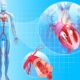 New Study Debunks Low-Carb Diets as Healthy